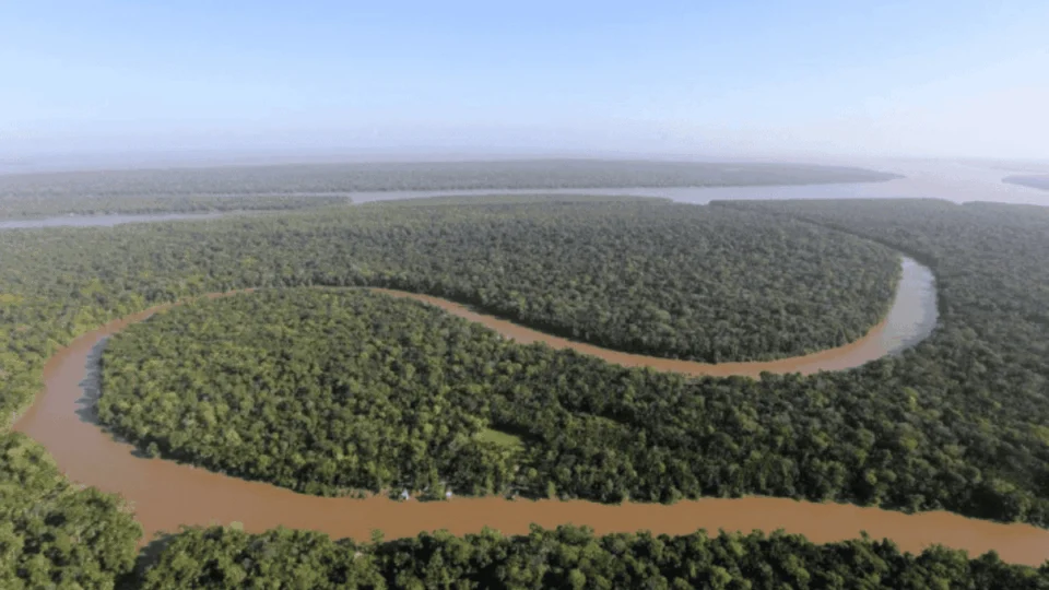 ‘Grande retrocesso’, alerta doutora em ESG sobre mudanças na lei ambiental