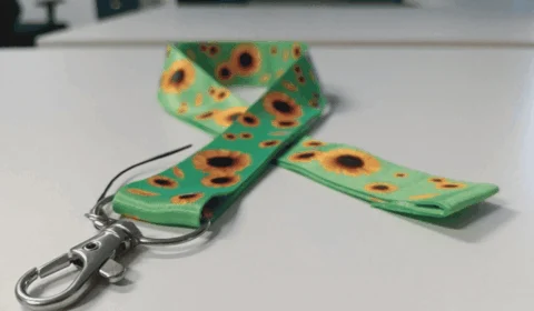 Roraima tem menor índice de pessoas com deficiência no Brasil, revela Censo 2022