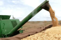 Agro dispara 12,2% e puxa alta de 1,4% do PIB no 1º trimestre de 2025