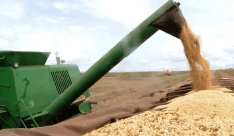 Agro dispara 12,2% e puxa alta de 1,4% do PIB no 1º trimestre de 2025
