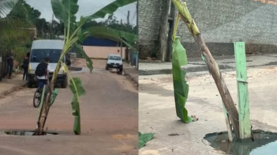 Moradores plantam bananeira em buraco para protestar contra abandono de ruas em Roraima