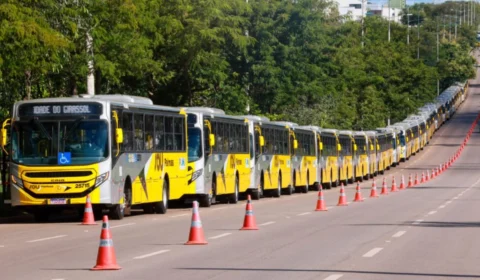Problemas no transporte público de Palmas levam MPTO a abrir investigação