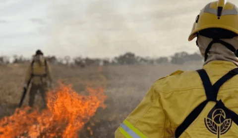 Governo envia brigadistas para combate a incêndios em 17 estados; veja lista