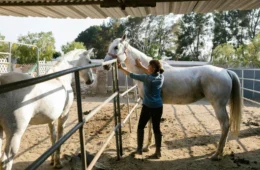 Dia do Zootecnista (13/5): veja frases para enviar hoje