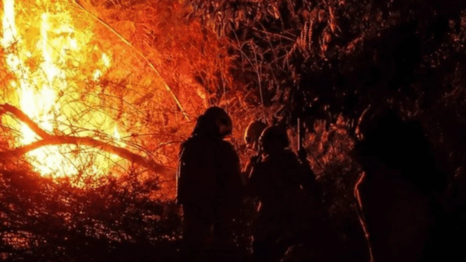 Acre receberá reforço federal no combate a queimadas: veja quais cidades terão brigadas temporárias