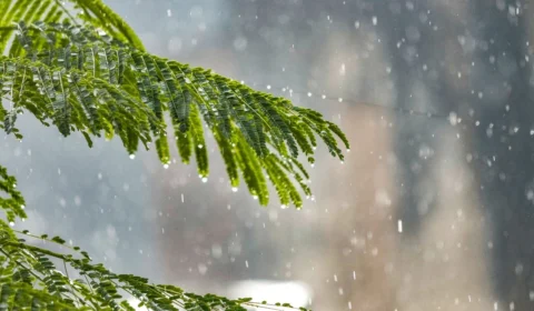 Previsão do tempo em Boa Vista: confira clima para hoje (13)