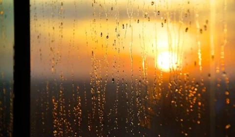 Previsão do tempo em Boa Vista: confira clima para hoje (20)