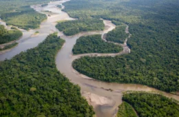 Morador afirma ter visto avião caindo entre Parintins e Barreirinha, no Amazonas