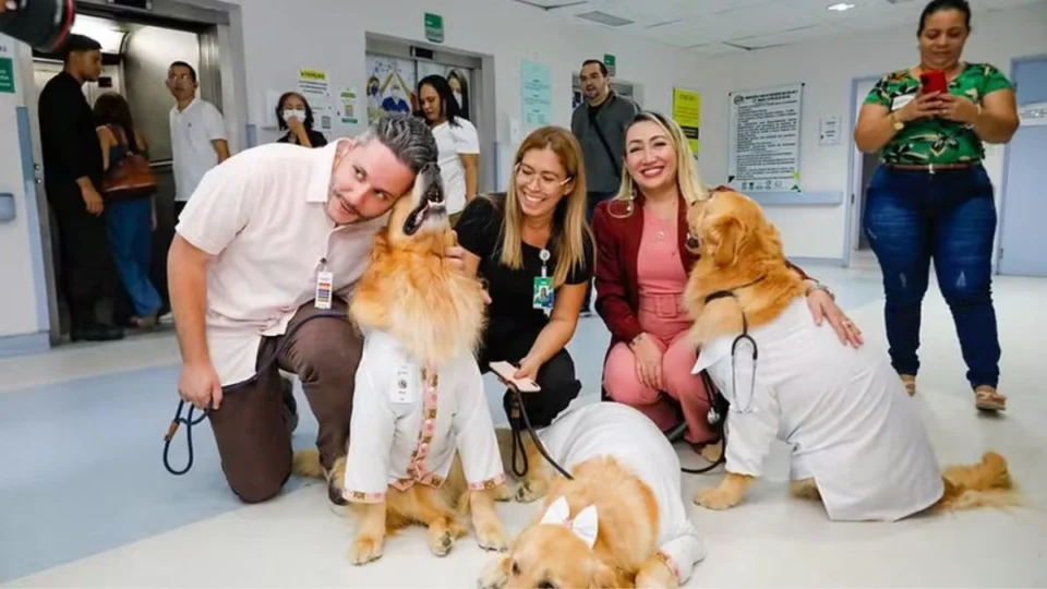 Visita especial: cães terapeutas vão a hospital e ajudam na recuperação de pacientes em Manaus