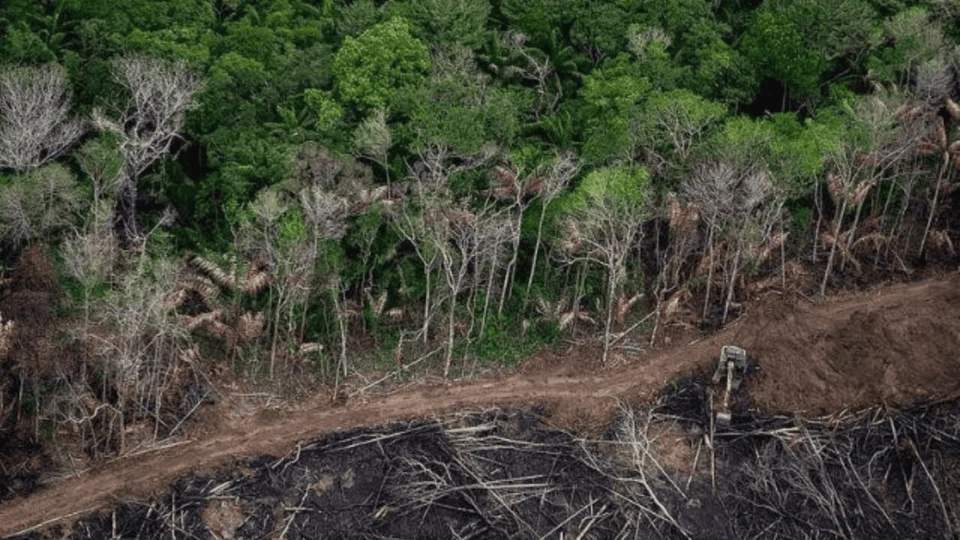 Por que o projeto de licenciamento ambiental aprovado no Senado é polêmico?