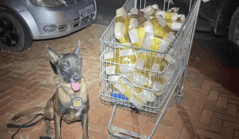 Polícia apreende R$ 300 mil em drogas escondidas na lataria de carro em Rio Branco