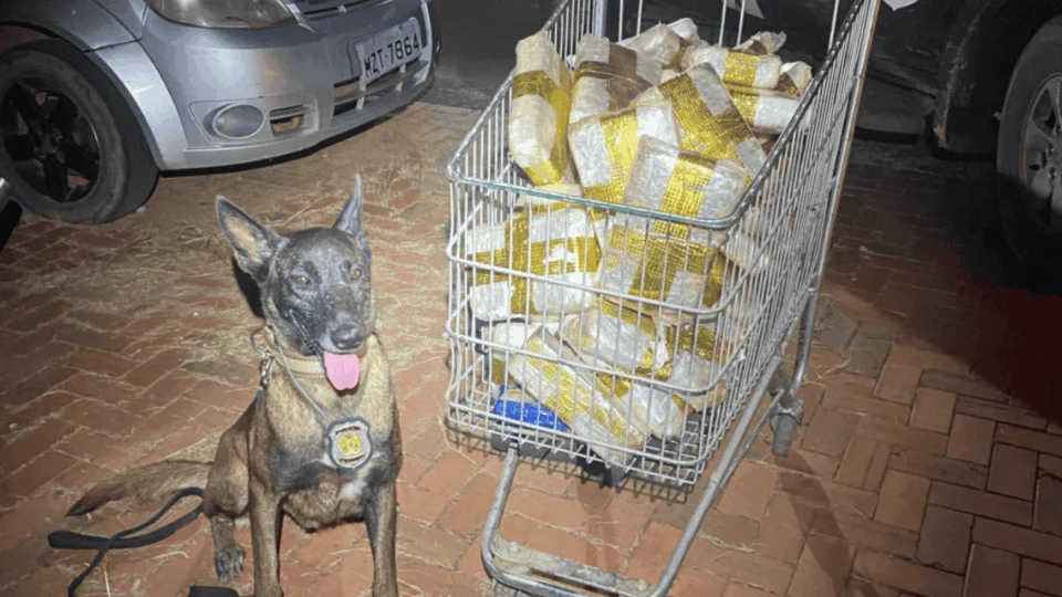 Polícia apreende R$ 300 mil em drogas escondidas na lataria de carro em Rio Branco