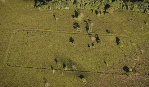 ‘Município dos Geoglifos’: Boca do Acre pode se tornar destino turístico arqueológico no Amazonas