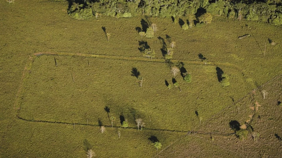 ‘Município dos Geoglifos’: Boca do Acre pode se tornar destino turístico arqueológico no Amazonas