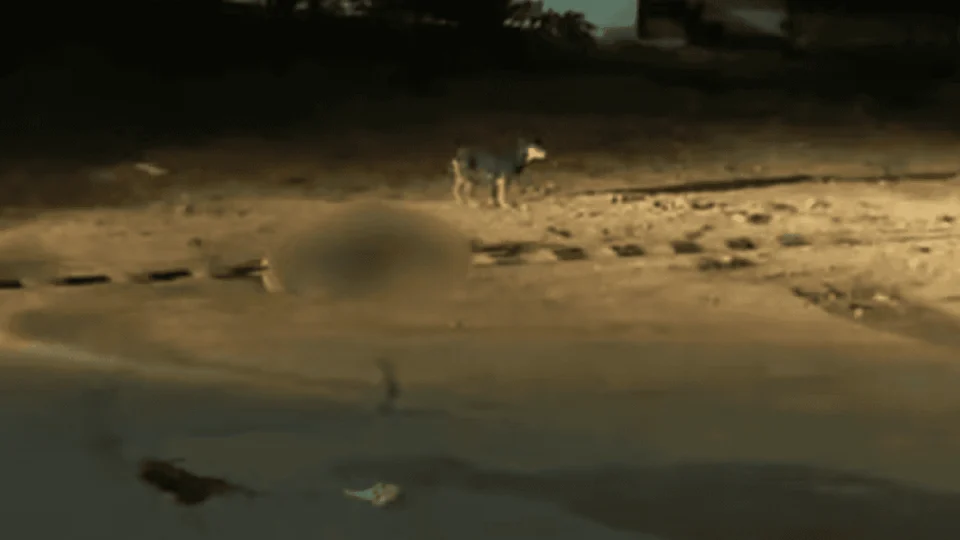 Atropelamento fatal na AC-10: motorista foge após matar homem de 54 anos em Rio Branco