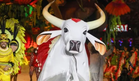 Qual o significado ‘Perrechéologia’? Veja letra de um dos hits do Festival de Parintins