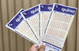 Quina 6742: jogador leva prêmio sozinho; veja detalhes