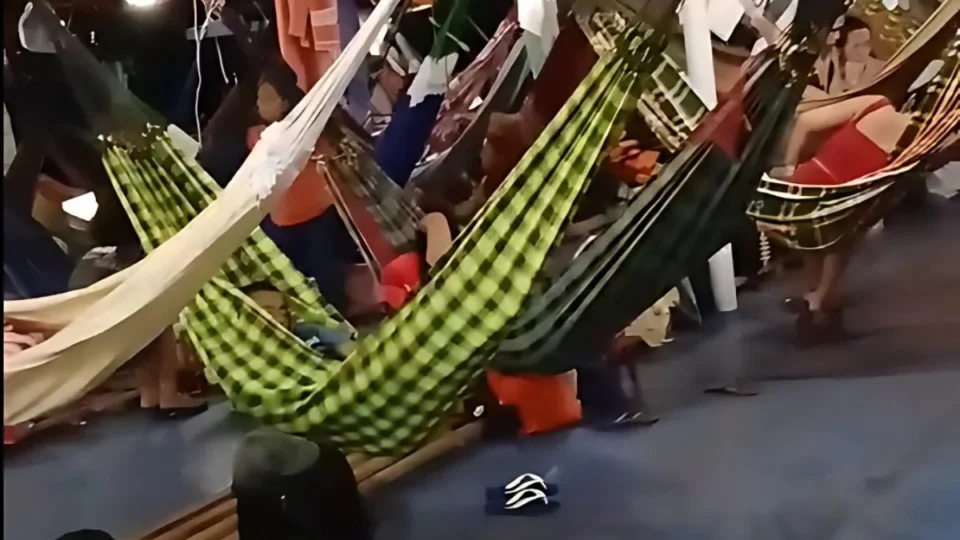 VÍDEO: Barco perde controle e avança contra árvore no Rio Solimões, no Amazonas