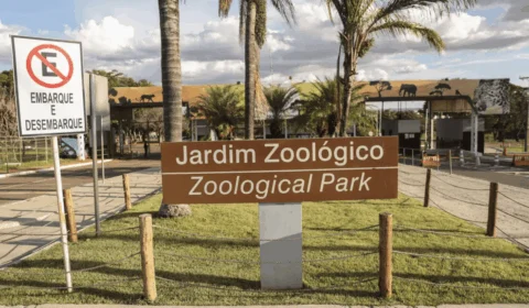 Zoológico de Brasília é fechado temporariamente após suspeita de gripe aviária