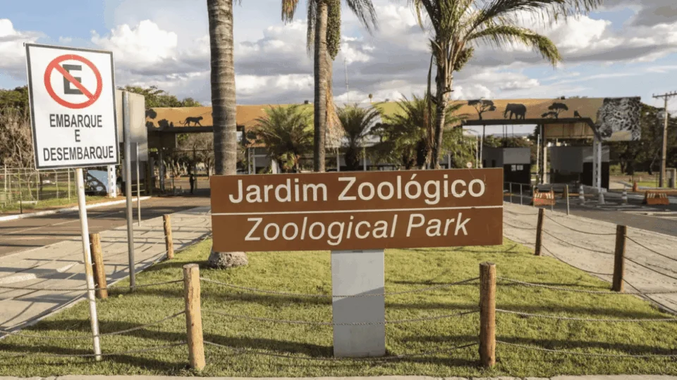 Zoológico de Brasília é fechado temporariamente após suspeita de gripe aviária