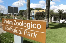 Gripe aviária é confirmada no Zoológico de Brasília; local segue interditado até 12 de junho