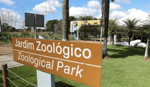 Gripe aviária é confirmada no Zoológico de Brasília; local segue interditado até 12 de junho