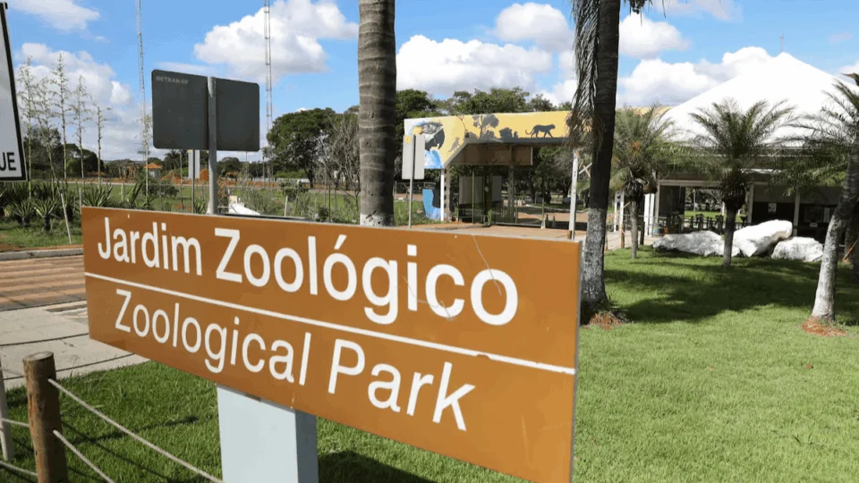 Gripe aviária é confirmada no Zoológico de Brasília; local segue interditado até 12 de junho