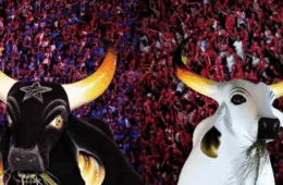 Onde assistir à apuração do Festival de Parintins 2025? Confira local e horário