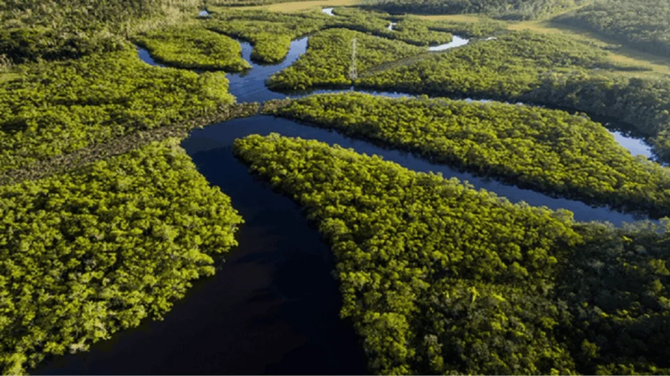 R$ 1,1 bilhão em 6 meses: Fundo Amazônia atinge maior volume de projetos desde 2009