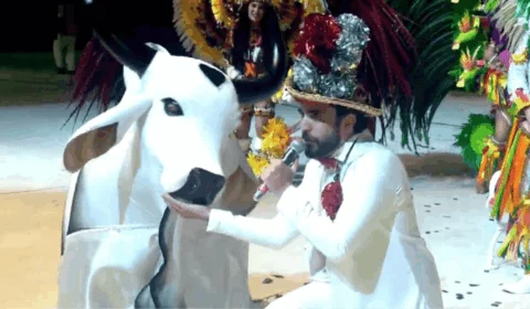 Festival de Parintins 2025: Amo do Boi trás Garantido de 1978 para alfinetar ‘contrário’