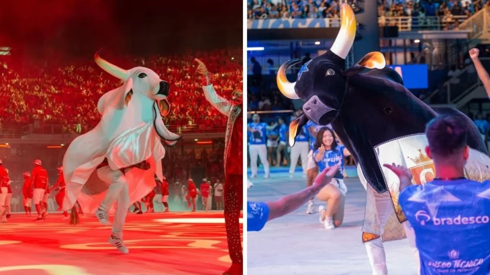 Caprichoso x Garantido: pontos fortes e fracos dos ensaios técnicos