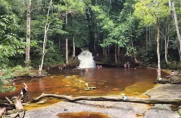 Cachoeira das Orquídeas reabre após presença de onça-pintada em Presidente Figueiredo