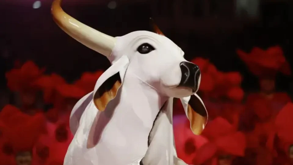 Veja se o boi Garantido perderia o Festival de Parintins 2025 sem notas de jurada polêmica