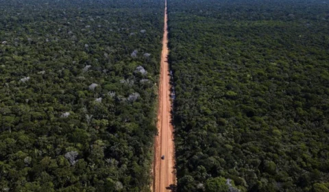 BR-319 adiada… de novo: obra fica de fora do Plano Nacional de Logística