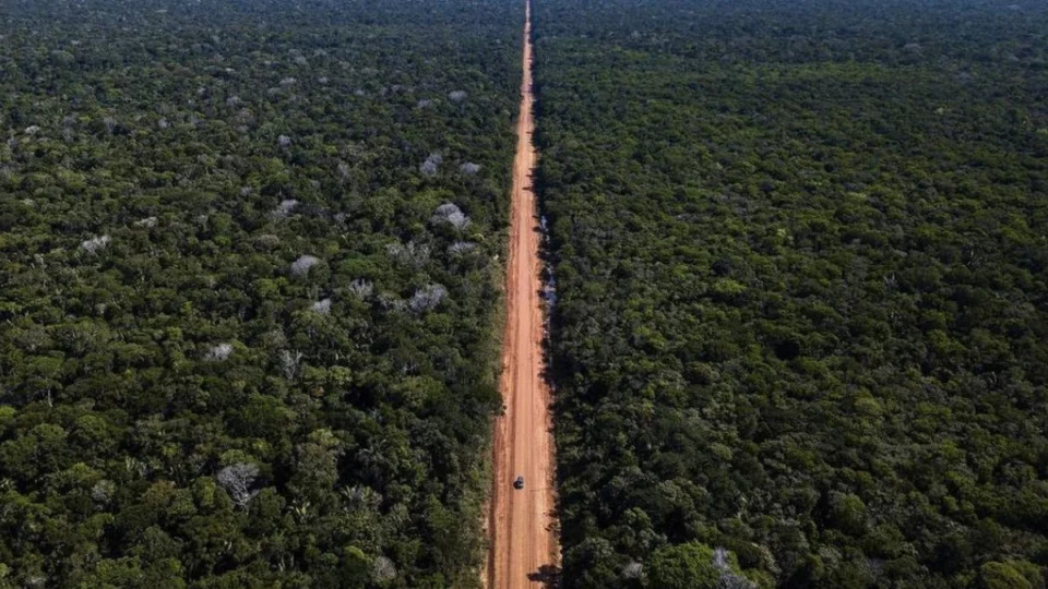 BR-319 adiada… de novo: obra fica de fora do Plano Nacional de Logística