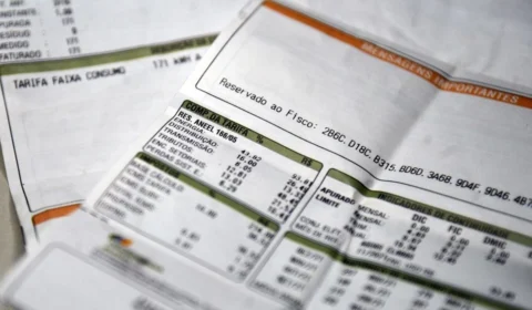 Gratuidade na conta de luz em Roraima: veja quem tem direito ao benefício