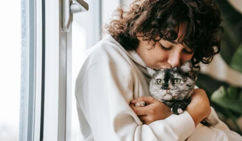 Dia de Abraçar seu Gato: já abraçou seu bichano hoje?