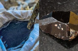 Polícia apreende mais de 600 kg de ‘ouro negro’ na zona oeste de Boa Vista; dois homens são presos