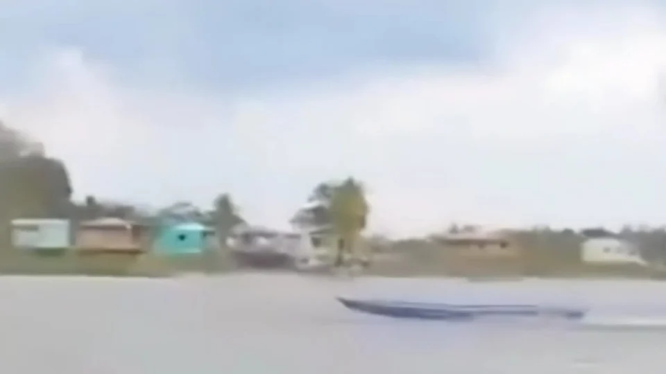 Rabeta ‘mal-assombrada’ corre sozinha em rio e vídeo de arrepiar viraliza na internet; veja