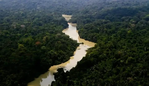 Roraima é o estado com pior índice de democracia ambiental da Amazônia Legal, diz pesquisa
