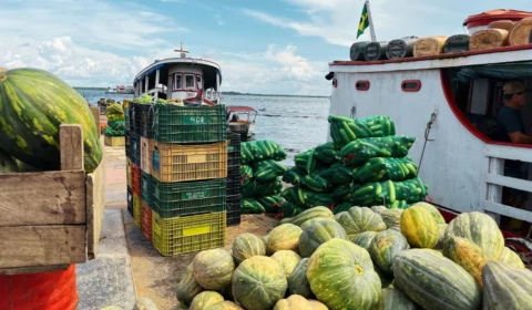Dança das águas: o impacto da cheia e da seca na economia alimentar do Amazonas