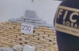 Trio é preso com 230 kg de maconha tipo skunk durante operação em Boa Vista