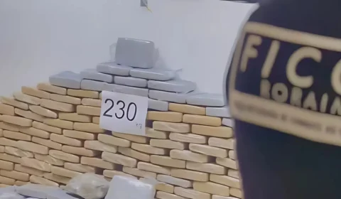 Trio é preso com 230 kg de maconha tipo skunk durante operação em Boa Vista