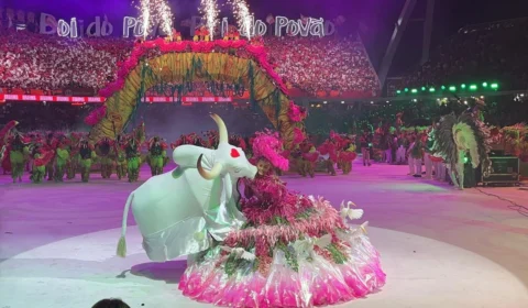Valentina Coimbra encanta com bailado como sinhazinha do Garantido em Parintins