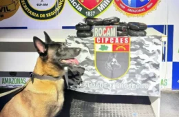 Cadela policial encontra drogas avaliadas em R$ 627 mil em barco no interior do Amazonas
