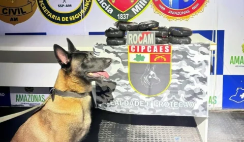 Cadela policial encontra drogas avaliadas em R$ 627 mil em barco no interior do Amazonas