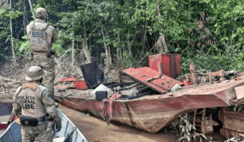 PF combate garimpo ilegal e resgata animais ameaçados no AM