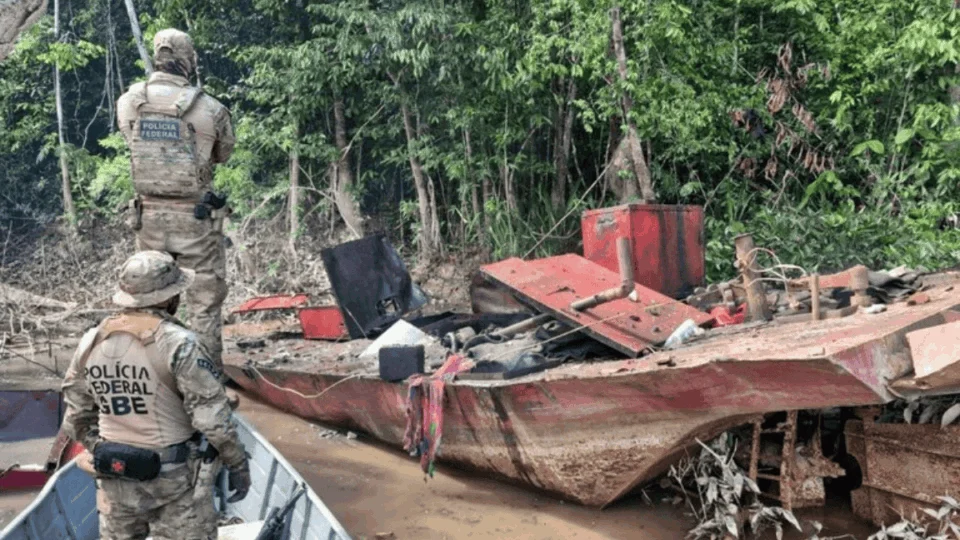 PF combate garimpo ilegal e resgata animais ameaçados no AM