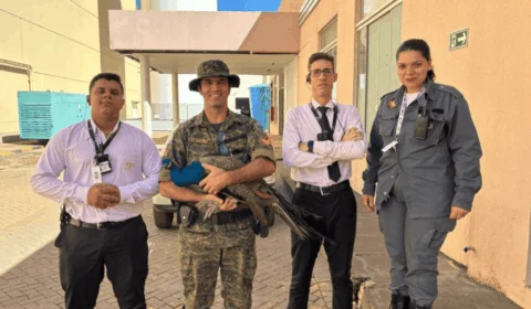 Pavão causa alvoroço ao ‘passear’ por shopping em Palmas