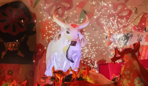 Festa da vitória do Garantido já tem data marcada; veja horário e itens confirmados